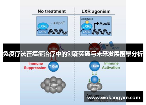 免疫疗法在癌症治疗中的创新突破与未来发展前景分析