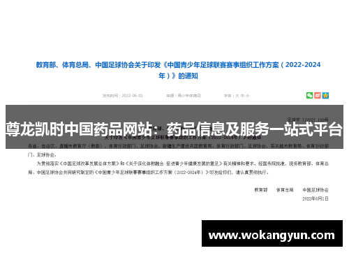 尊龙凯时中国药品网站：药品信息及服务一站式平台
