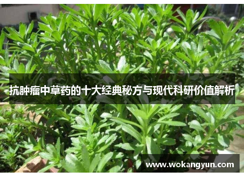抗肿瘤中草药的十大经典秘方与现代科研价值解析
