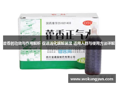 藿香的功效与作用解析 促进消化缓解暑湿 适用人群与使用方法详解
